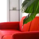 Aurora Tor Vergata-metro C Torrenova, Free Parking And Wifi Apartment