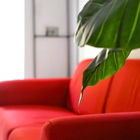 Aurora Tor Vergata-metro C Torrenova, Free Parking And Wifi Appartement