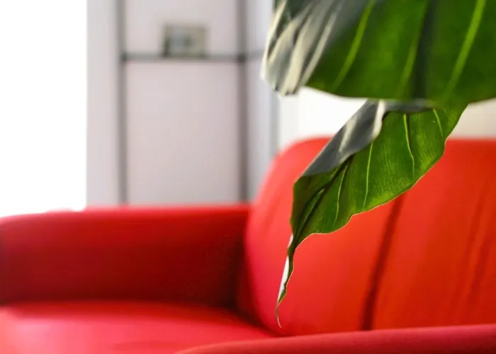 Aurora Tor Vergata-metro C Lejlighed